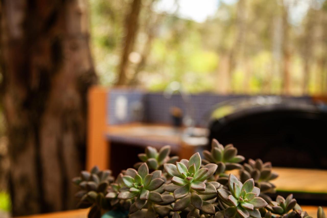 Clavellino House En Villa De Leyva - Tranquilidad Y Naturaleza En Reserva Natural Urbana! Luaran gambar