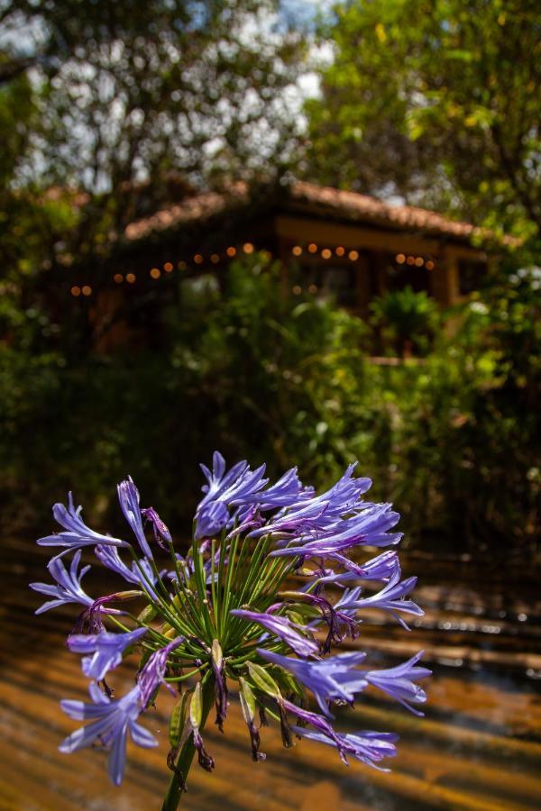 Clavellino House En Villa De Leyva - Tranquilidad Y Naturaleza En Reserva Natural Urbana! Luaran gambar